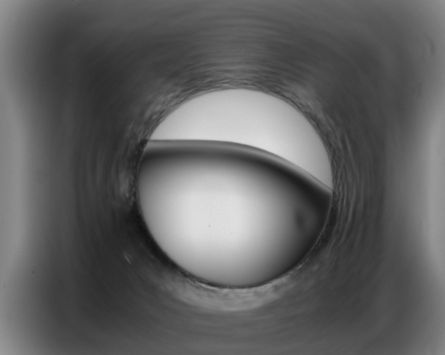 X0000087320031200704200748