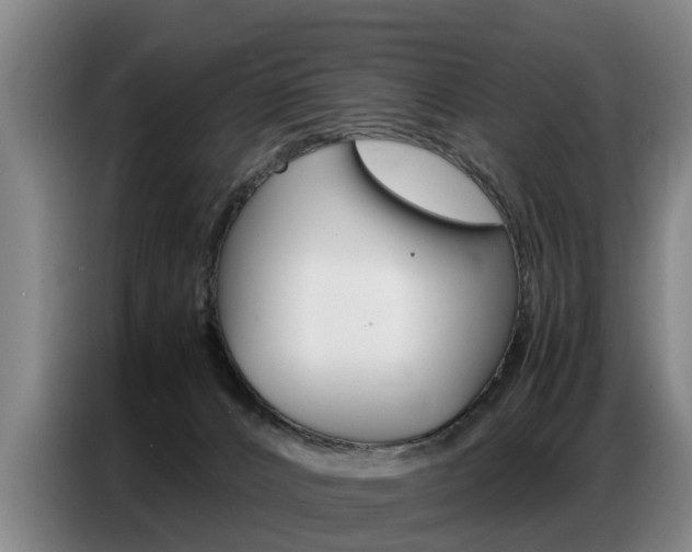 X0000087320032200704200748