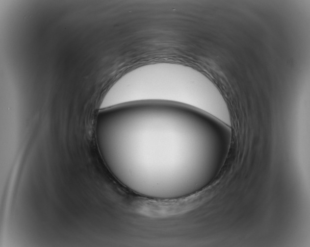 X0000087320033200704200748