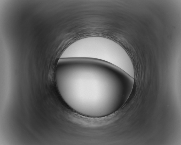 X0000087320035200704200748
