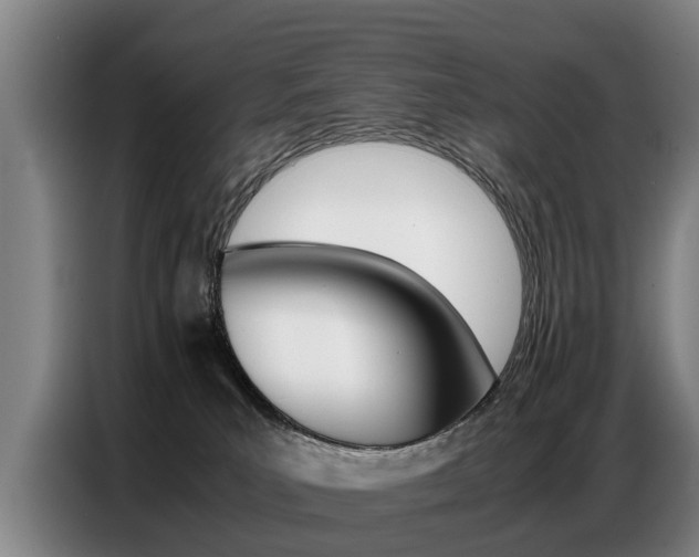 X0000087320039200704200748
