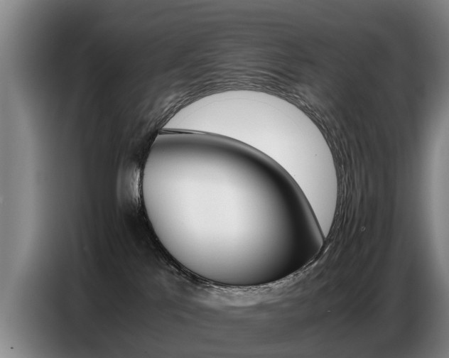 X0000087320041200704200748