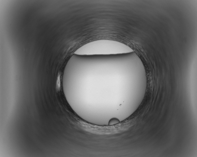 X0000087320042200704200748
