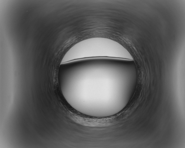 X0000087320044200704200748