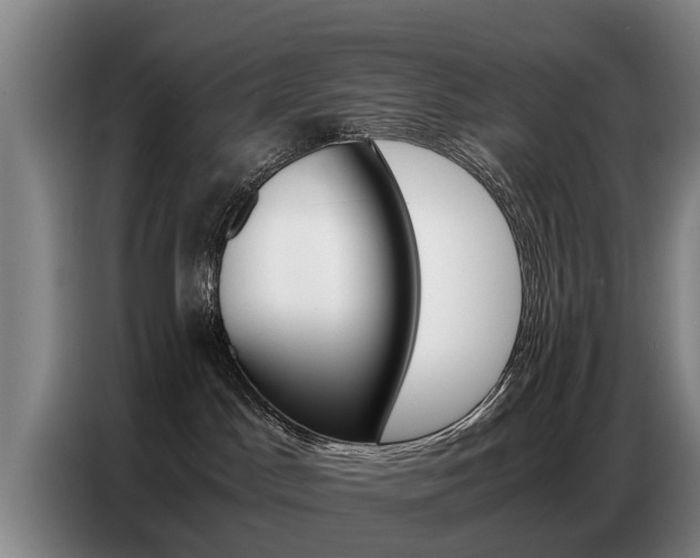 X0000087320045200704200748