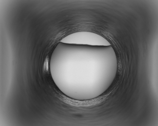 X0000087320046200704200748