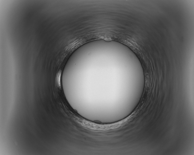 X0000087320047200704200748