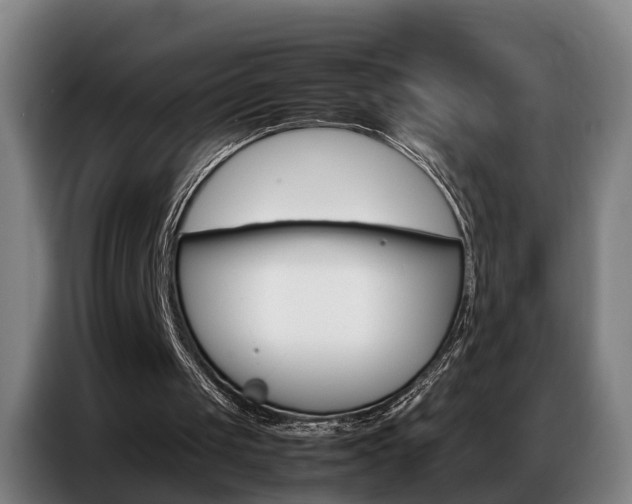 X0000087320049200704200748