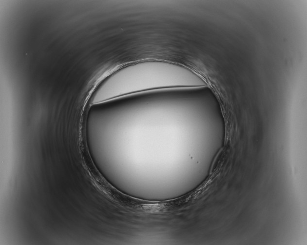 X0000087320050200704200748