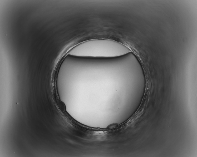 X0000087320053200704200748