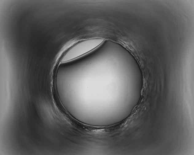 X0000087320054200704200748