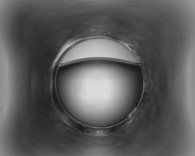 X0000087320056200704200748