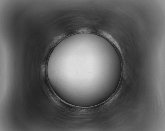 X0000087320057200704200748