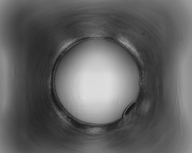 X0000087320058200704200748