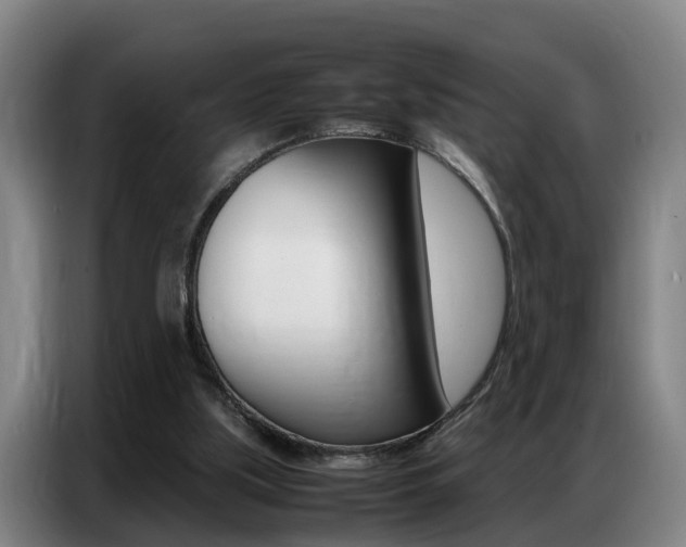 X0000087320059200704200748