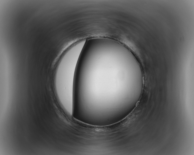 X0000087320060200704200748