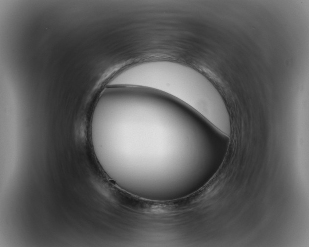 X0000087320064200704200748