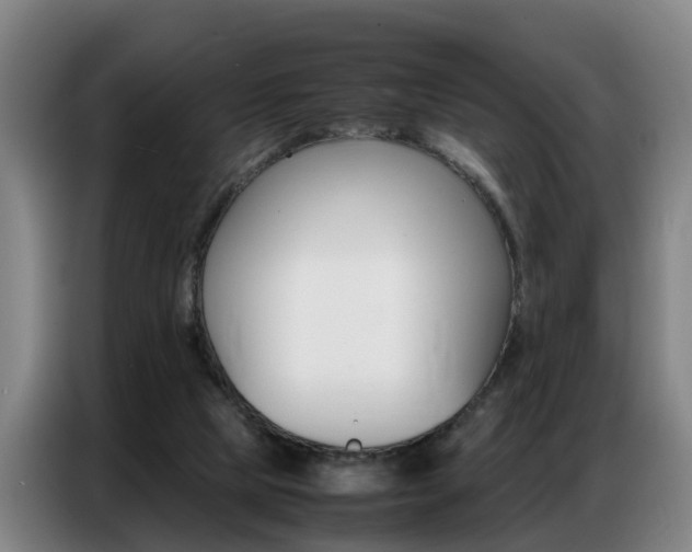 X0000087320065200704200748