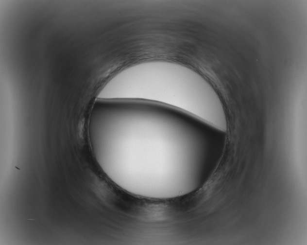 X0000087320066200704200748
