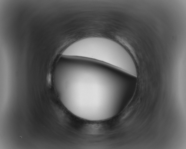 X0000087320067200704200748