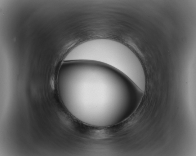 X0000087320068200704200748