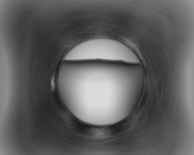 X0000087320069200704200748