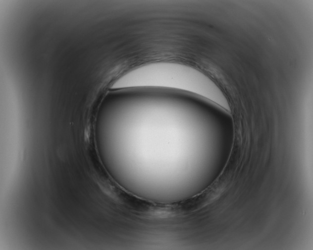 X0000087320072200704200748