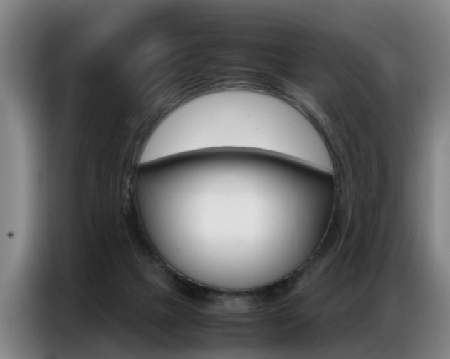 X0000087320073200704200748