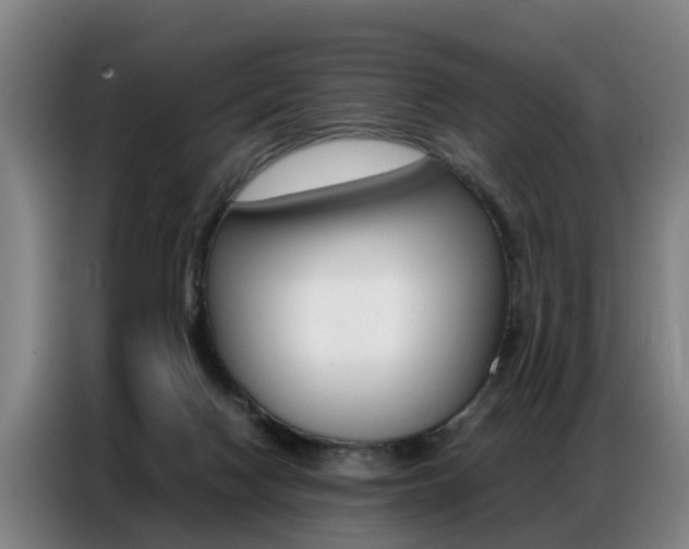 X0000087320074200704200748