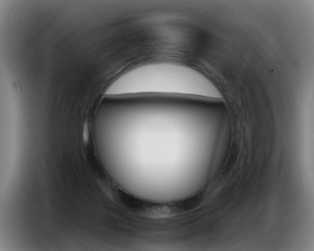 X0000087320075200704200748