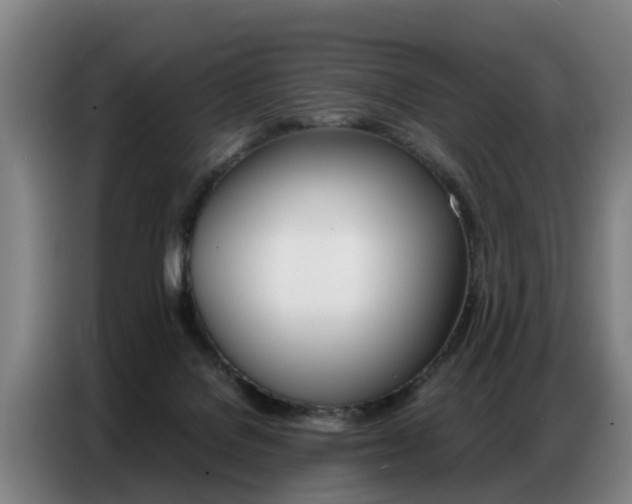 X0000087320076200704200748