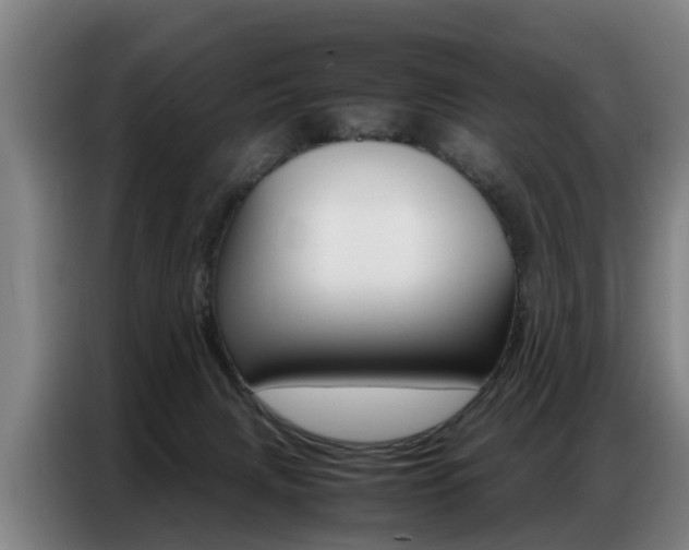 X0000087320079200704200748