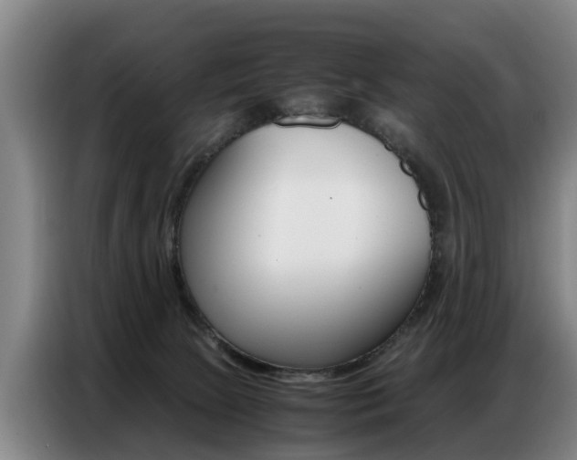 X0000087320081200704200748