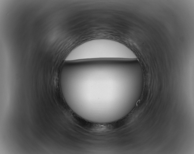 X0000087320083200704200748