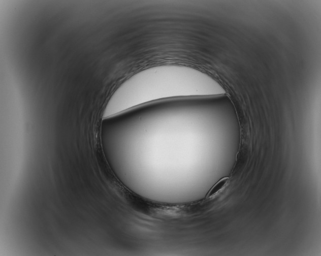 X0000087320086200704200748