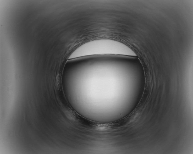 X0000087320088200704200748