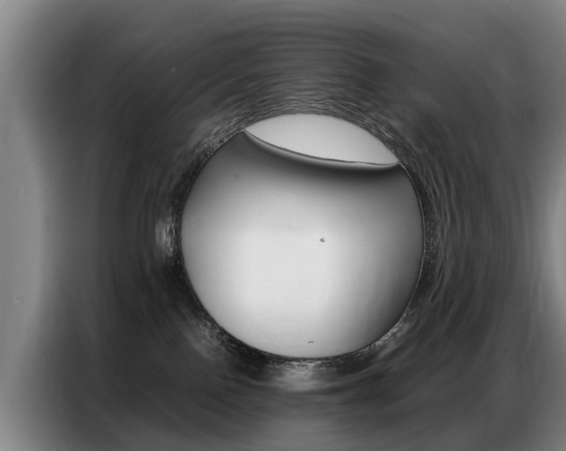X0000087320090200704200748