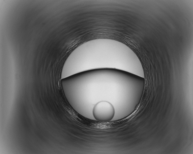 X0000087320094200704200748