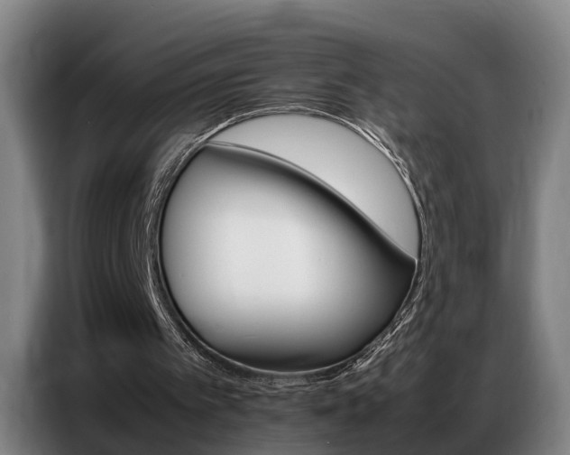 X0000087320097200704200748