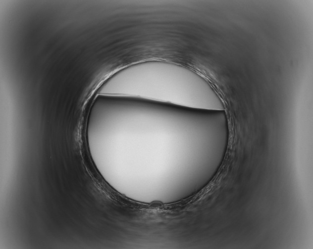 X0000087320098200704200748