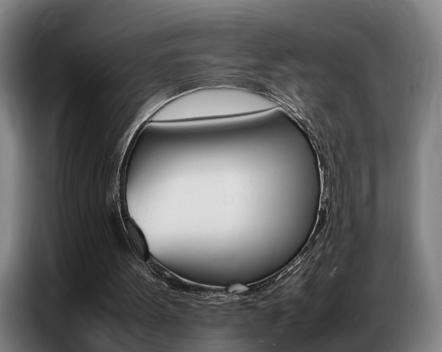 X0000087320099200704200748