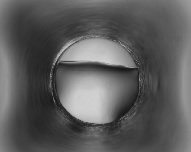 X0000087320100200704200747