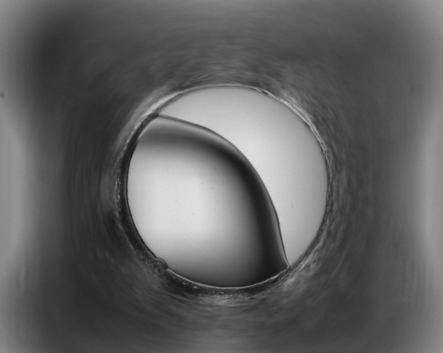 X0000087320103200704200747