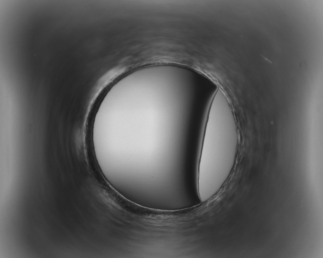 X0000087320104200704200747