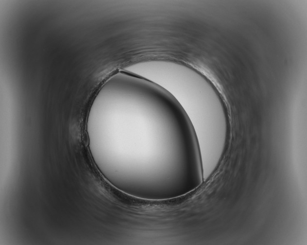 X0000087320105200704200747