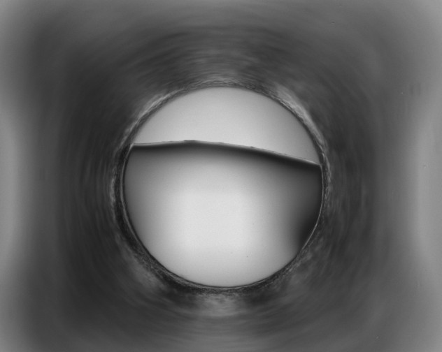 X0000087320106200704200747