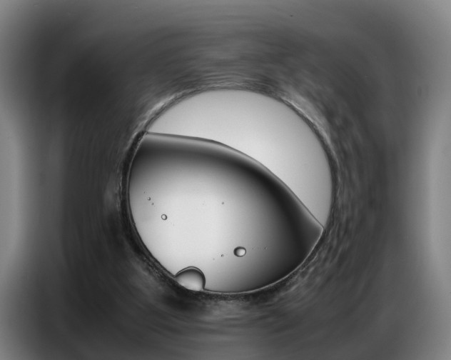 X0000087320107200704200747