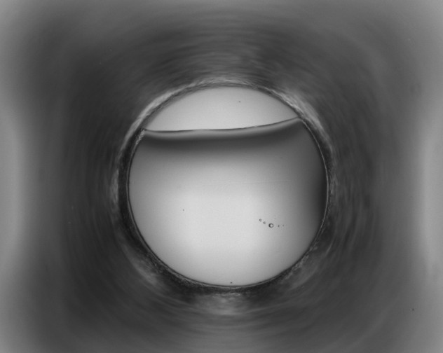 X0000087320108200704200747