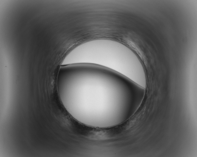 X0000087320113200704200747