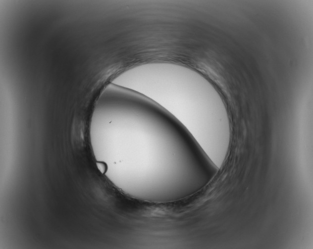 X0000087320115200704200747
